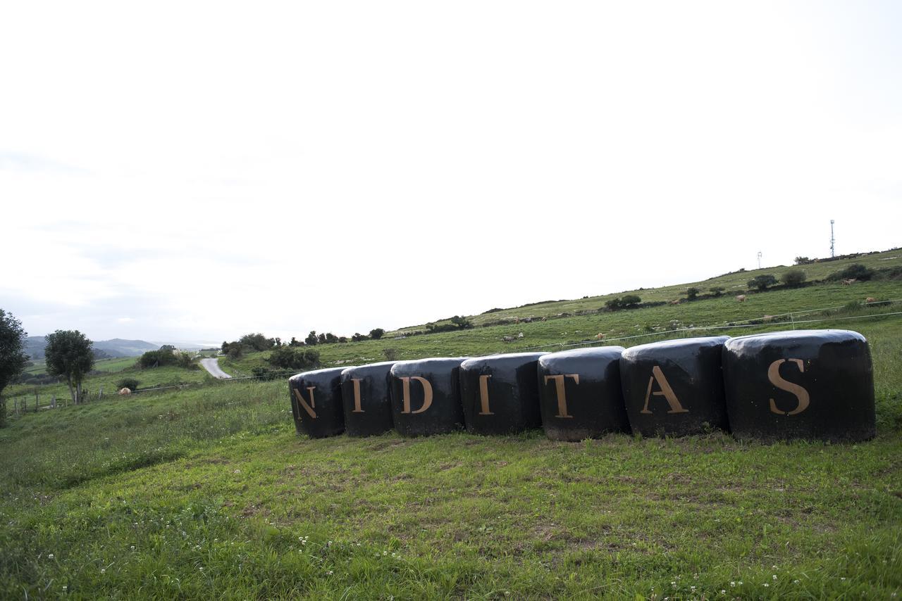 Suites Niditas Yuso Εξωτερικό φωτογραφία